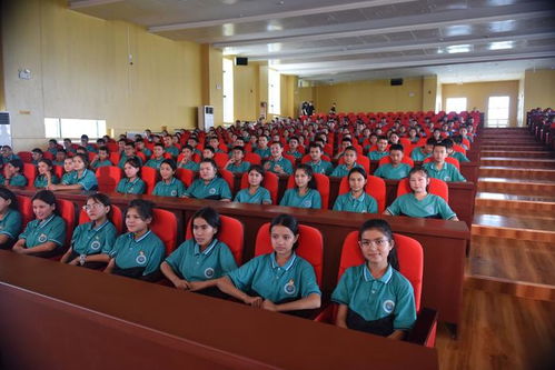 濱海新區文藝小分隊圓滿完成和田文化交流活動，譜寫文化交融新篇章