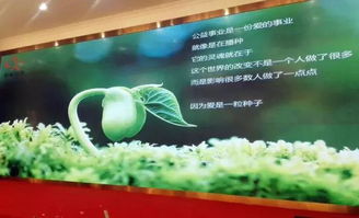 以刀為筆，以玉載道 福建省寶協玉石雕刻專業委員會藝術公益之路